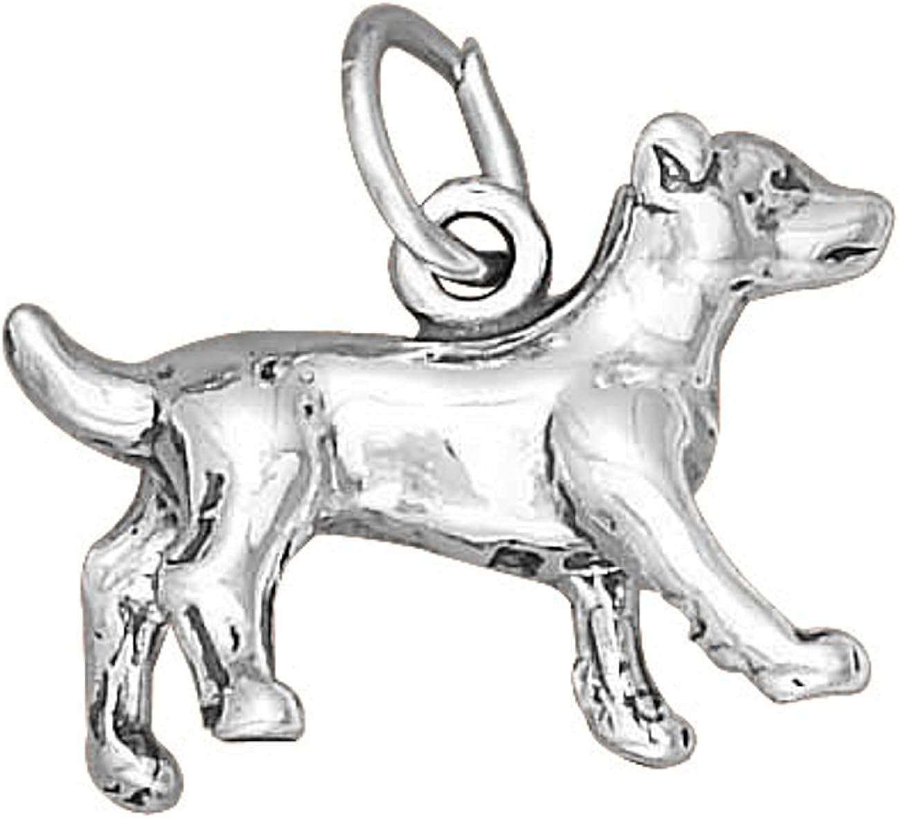 silver dog breeds