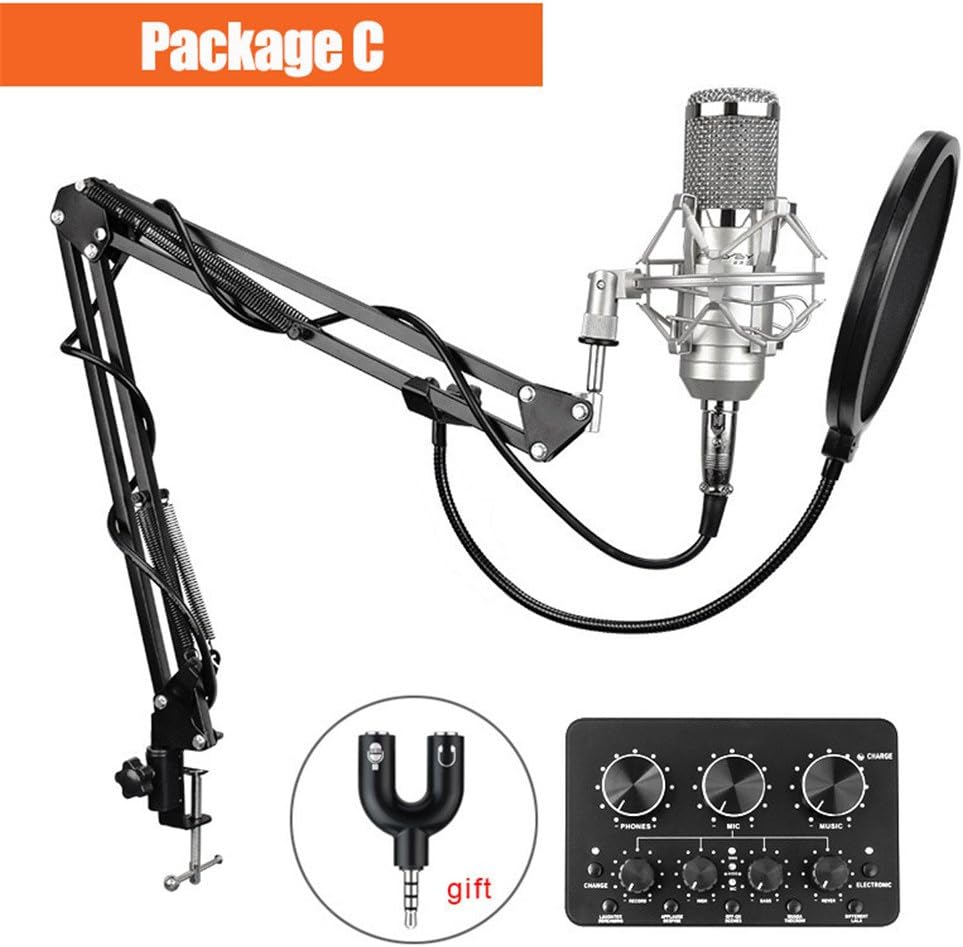 microphone Condenser For Computer Audio Studio Vocal Recording Mic KTV Karaoke Stand Silver Package C