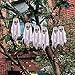 2 Pack 4.9 Ft Halloween Skull Trunk or Treat, 12 PCs Halloween Skull Garland with Veil Banner for Halloween Décor, Party Supplies, Yard Decor (Black and White)