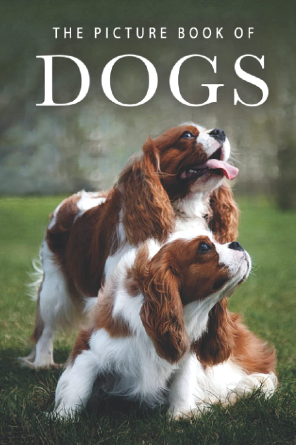 Photo 1 of The Picture Book of Dogs: A Gift Book for Alzheimer's Patients and Seniors with Dementia (Picture Books - Animals)