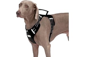 Abuandi Dog Harness Adjustable Breathable Dog Harness with No Pull PVC Handle, Reflective Dog Vest Harnesses for Small Medium Large Dogs, Easy to Walking, Training, Camping, Control Escape