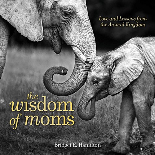 The Wisdom of Moms: Love and Lessons From the Animal Kingdom by Bridget E. Hamilton