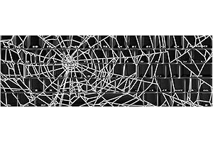 Spiders Web Original Height Keycaps 64/74Key Shining Through Backlit Keycapst for 60 61 63 64 65 67 Mechanical Keyboard Spide