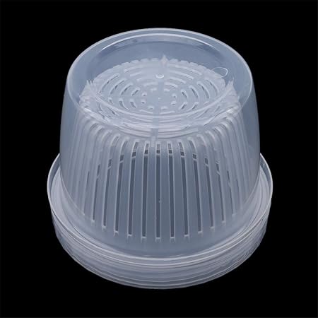 LGJJJ Caja para Guardar Frutas, Nevera, Alimentos, Bandeja para ...