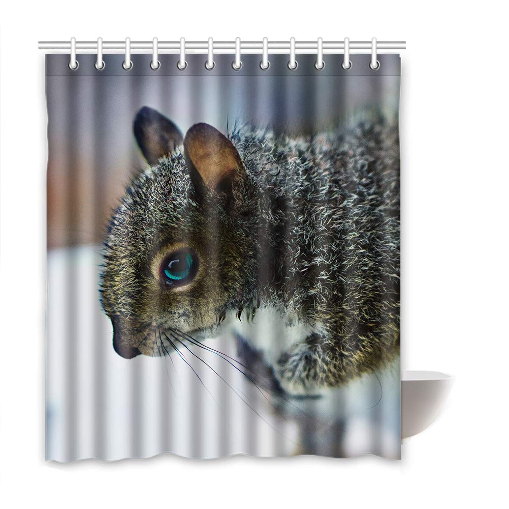 Amazon Com Shower Curtains Squirrel Bathroom Curtains With