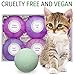 Bath Bombs Gift Set - 6 Vegan, Handmade, All Natural and Organic - Best Gift for Her: Women, Mom, Girls, Teens - Ultra Lush Spa Fizzes - Add to Bath Bubbles - Bath Basket