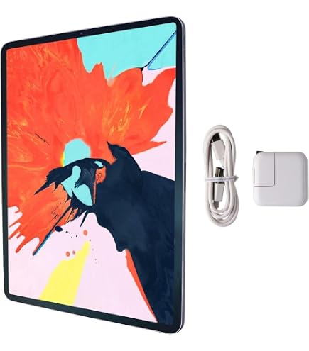 Amazon.com : Apple iPad Pro 12.9 512GB WiFi (2017) MPKY2LL/A Space