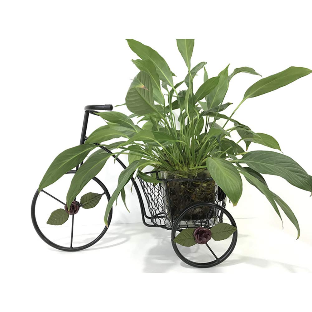 Which Is The Best Patio Mini Garden Bicycle Planter Home Decor Iron Stand