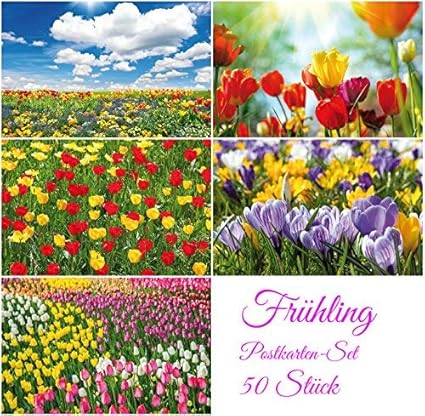 Edition Colibri Lot De 50 Cartes Postales De Printemps Et De Paques Amazon Fr Fournitures De Bureau