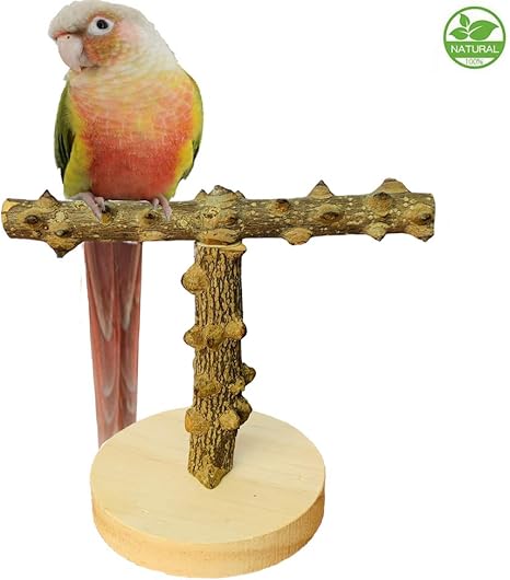 cockatiel perch stand