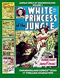 Jungle Girls Of Gwandanaland: Volume 1: Gwandanaland Comics #2343 --- 17 Exciting Jungle Characters by Gwandanaland Comics