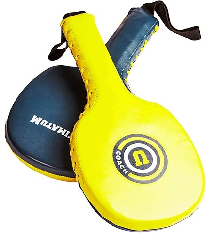 boxing paddle mitts