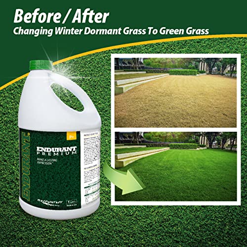 Endurant Green Grass Paint for Lawn and Fairway Treats Dry or Patchy