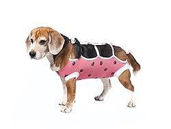 E-Collar Alternative for Cats and Dogs Designed to