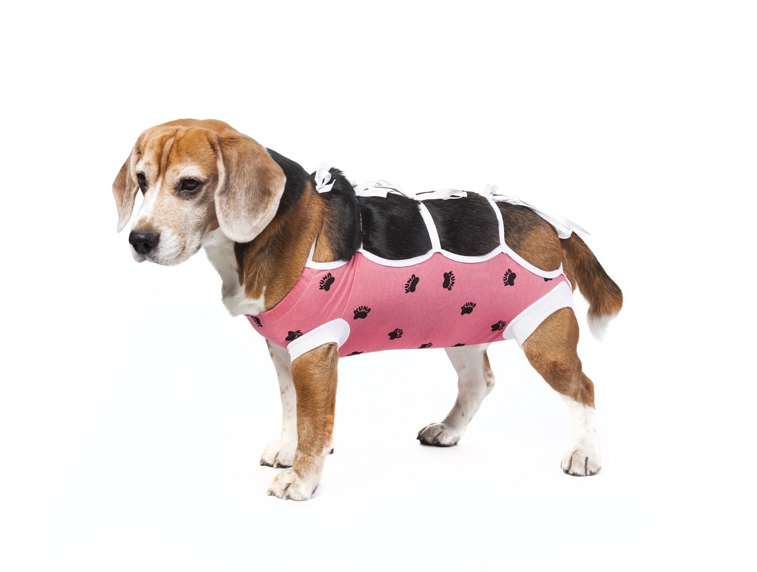 E-Collar Alternative for Cats and Dogs Designed to