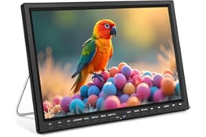 HotHat Car DVD Player, 14.1�� Large Screen Portable DVD Player with Stainless Steel Foldable Stand, Support Headrest Mount, 10