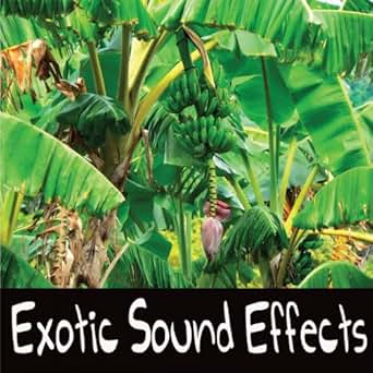 Dubstep Growl | Sample Focus cougar growl mp3 download free