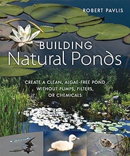 Building Natural Ponds Create A Clean Algae Free Pond Without