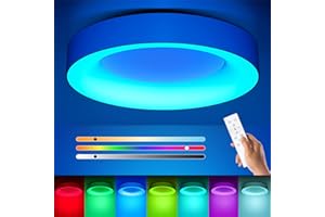 Annaror RGB Led Flush Mount Ceiling Light with Remote Control, 11 Inch 24W Dimmable Ceiling Light Fixture, 3000K-6500K Light Color Changeable, Modern White, for Bedroom Kids Room