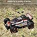 Blexy RC Racing Cars 2.4Ghz High Speed Rock Off-Road Vehicle 1:20 2WD Radio Remote Control Racing Toy Cars Electric Fast Race Buggy Hobby Car Green 211 (Red)