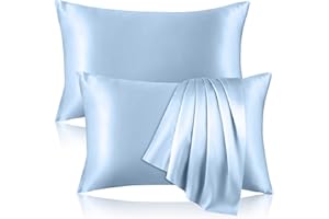 KINSELF 2 Pack 100% Pure Silk Pillowcase for Hair and Skin, Both Sides Mulberry Silk Pillowcases with Hidden Zipper, Cooling Pillowcase 19 Momme, 600 Thread Silk Pillow Cases Standard Size, Light Blue