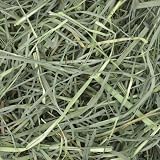 Oxbow Western Timothy Hay 425g for Rabbits Guinea Pigs Chinchilla Small Pets view 3