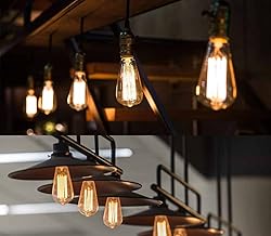 GOENDR E26 40W Edison Bulbs, ST64 2700K Warm