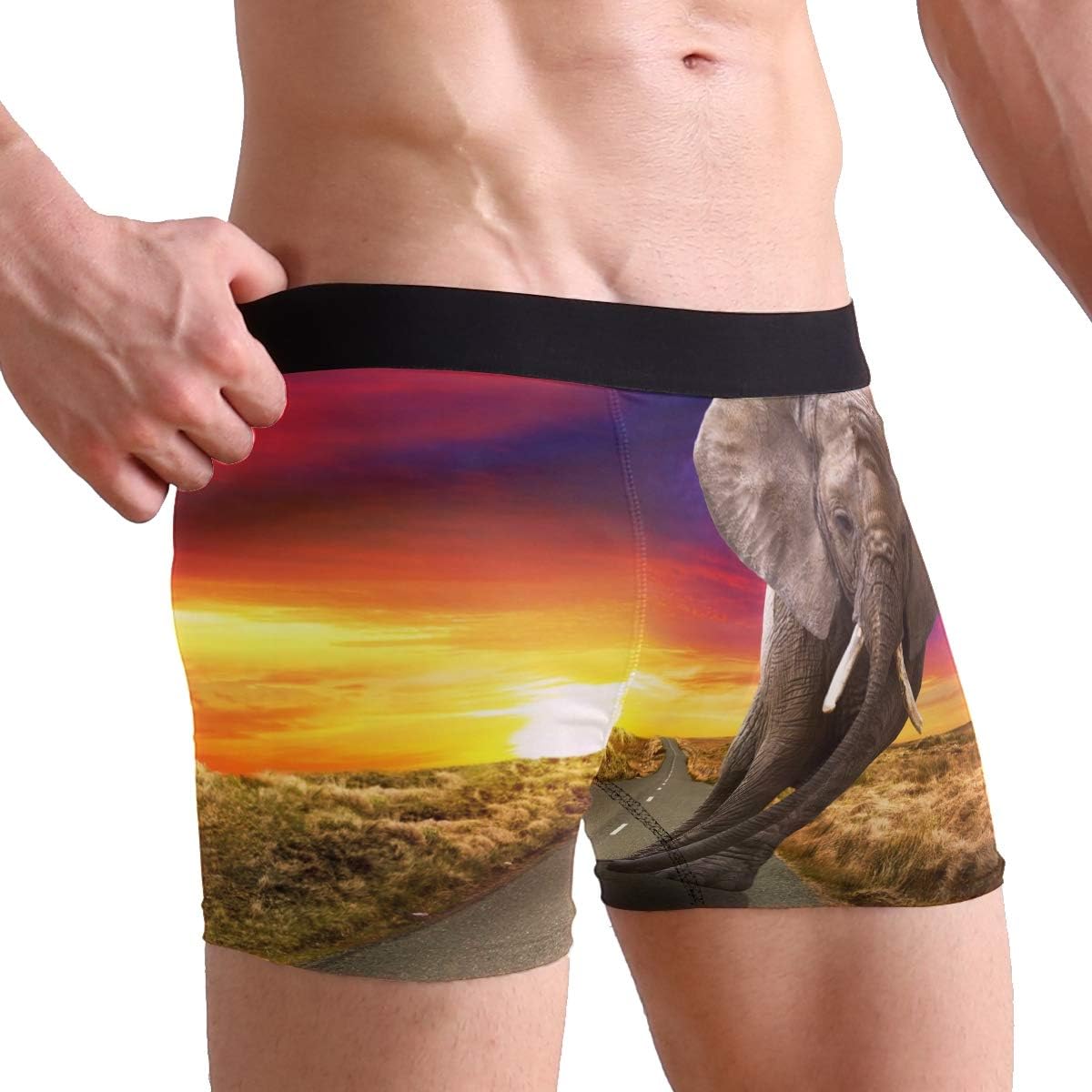 WowPrint African Animal Elephant Mens Underwear Boxer Briefs Shorts
