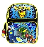 Nintendo Pokemon Pikachu Plusle & Minun 14