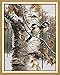 Joy Sunday Cross Stitch Kits 14CT Counted Autumn birds (1) 19.7