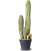 Artificial Cactus Fake Big Cactus 24 Inch Faux Cacti Plants for Home Garden Office Store Decoration