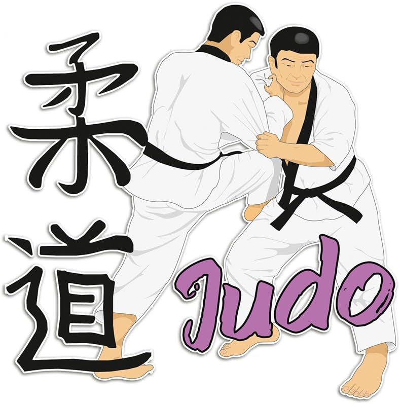 Graz Design Flower Window Wall stickers/Wall decals/Wall Sticker for Living Room Sports Judo Men, Glass, 30 x 30 cm