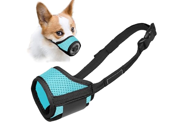 dog muzzle tractor supply