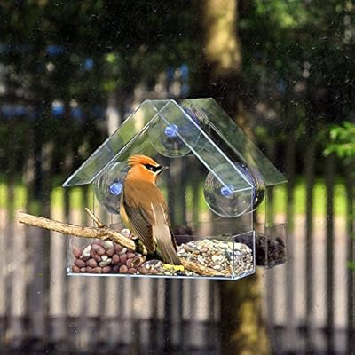 Amazon Com Euone Bird Feeder Clearance Sale Clear Glass