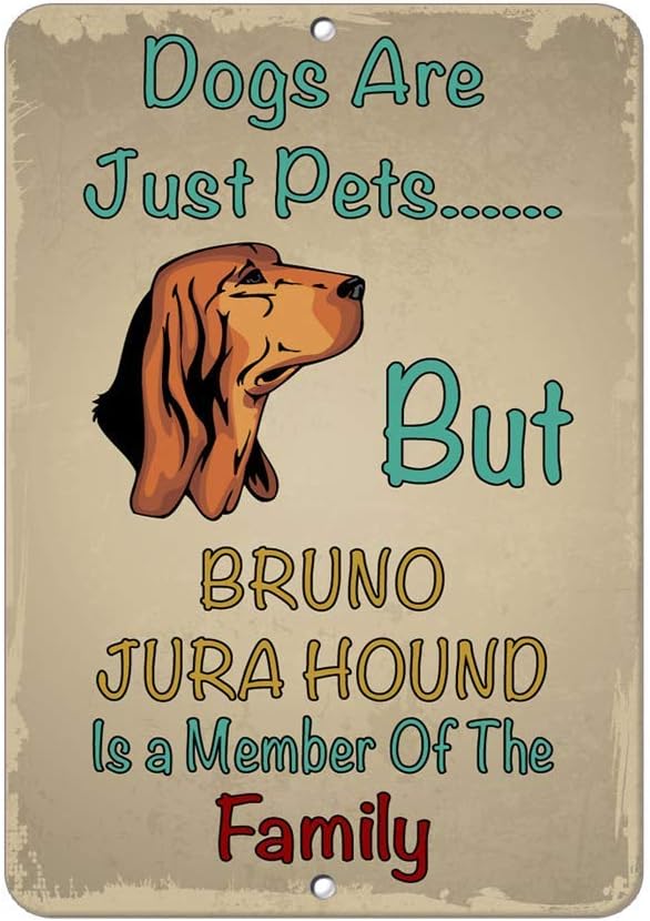 bruno jura hound puppies for sale