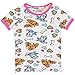Paw Patrol Girls' Skye and Everest Pajamas Size 4 Grey
