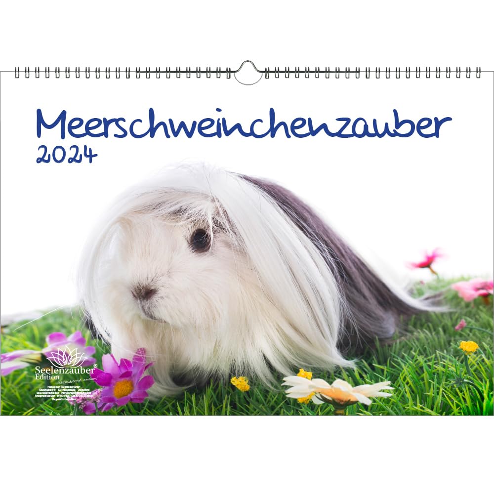 Guinea Pig Magic DIN A3 Calendar for 2024 Guinea Pigs Seelenzauber