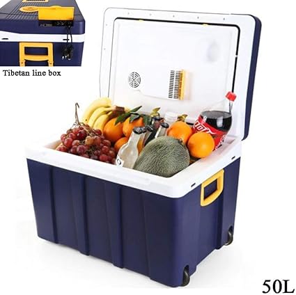 Amazon Com Lnddp Car Refrigerator Camping Fridge Thermoelectric Cool Box 12v 220 240v 50l Electric Refrigerator For Car Car Cooler For Traveling Camping Sports Outdoors