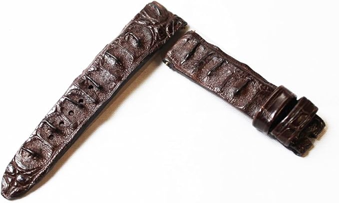 crocodile watch strap
