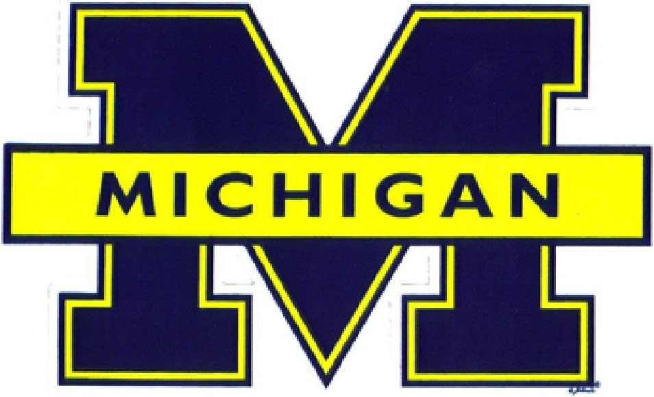NCAA Michigan Wolverines Car Large, 2 Pack
