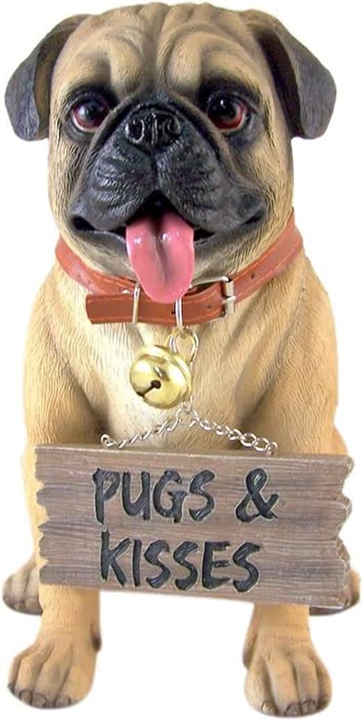 amazon pug dog