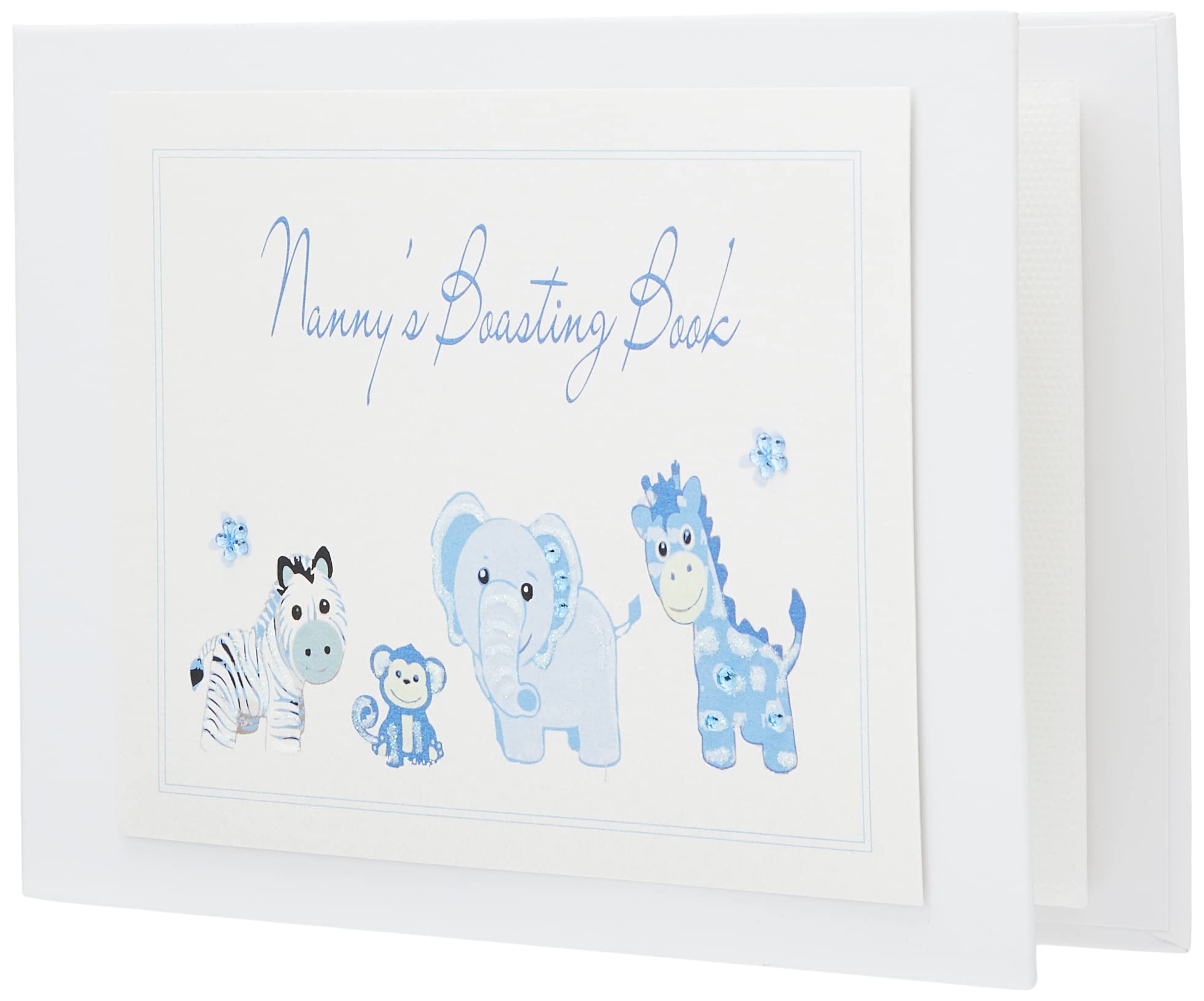White Cotton Cards Nanny's Boasting Book Tiny Photo Album Toys Range (Blue)