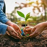 Karrma Natural Rooting Powder 75g for All Plant Cuttings view 3