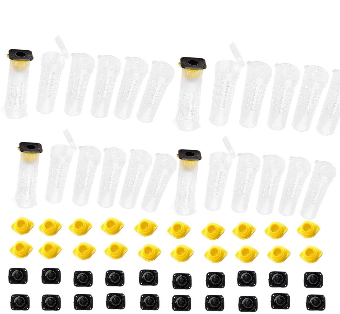 20 pcs Beekeeping Queen Bee Roller Cages Queen bee rasing Rearing Cell Cup kit Holder Cell Fixture for nicot System