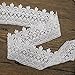 Trimscraft 5 Yards 3 Inches Wide Venise Cotton Lace Trims Eyelet Fabric for Garment Accessory DIY Craft Supply in White