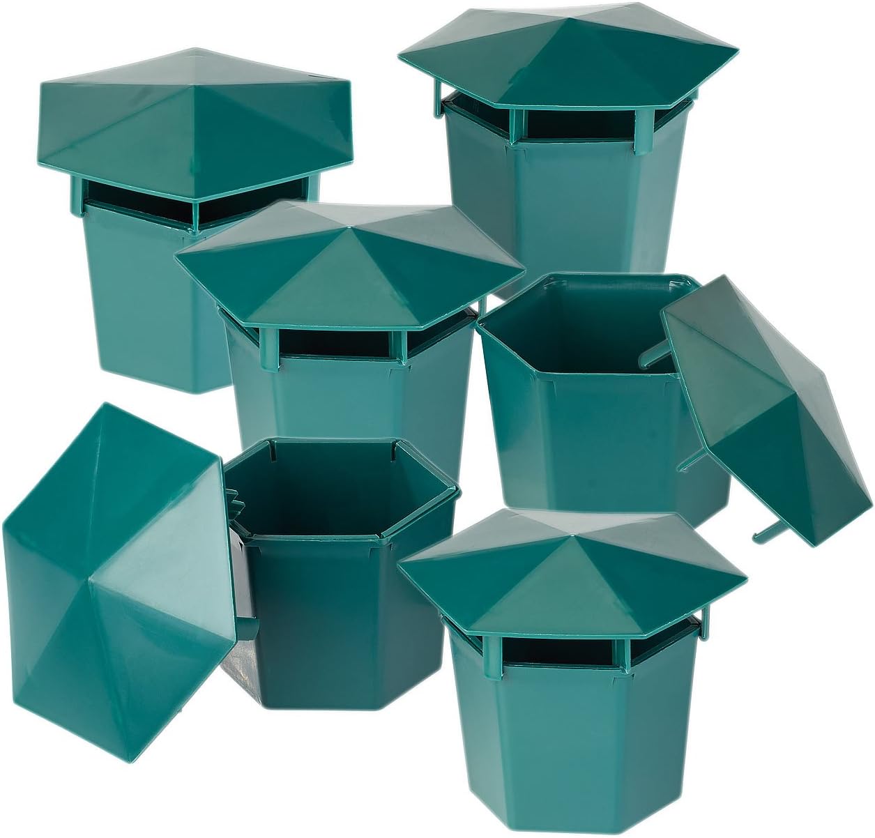 Exbuster Schneckenabwehr: 6er-Set Premium Bio-Schneckenfallen ohne Chemie und Gift (Schneckenfalle ohne Bier)