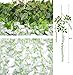 TRvancat Artificial Wisteria Hanging Vine 12 Pack 3.6FT/pcs, Fake Silk Flowers in Natural Chain Garland for Wedding Ceremony Arch Party Home Garden Decor (White)