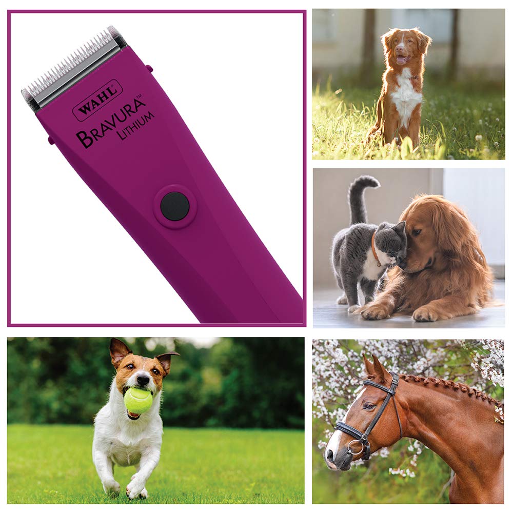 wahl professional animal motion pet