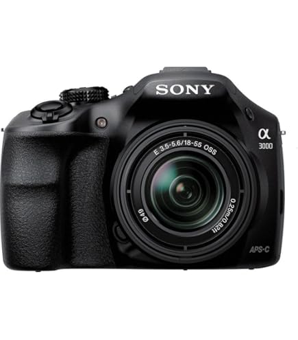 SONY α230 Sony Alpha DSLR-A230: Digital Photography Review