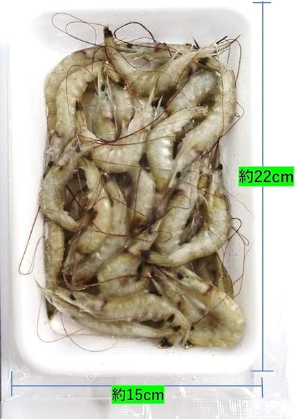 Amazon ハマイチ 冷凍芝えび 約0ｇ入 釣りエサ用 テンヤ釣り Hamaichi 船釣り用
